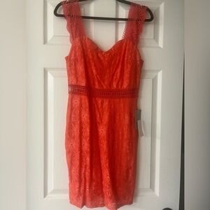 NWT NSR Elegant Lace Dress in Vibrant Orange